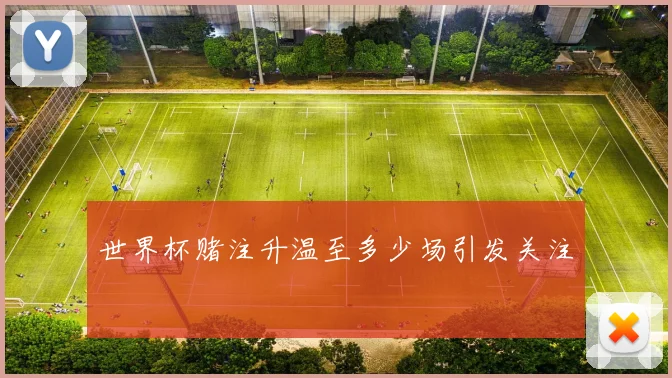 世界杯赌注升温至多少场引发关注