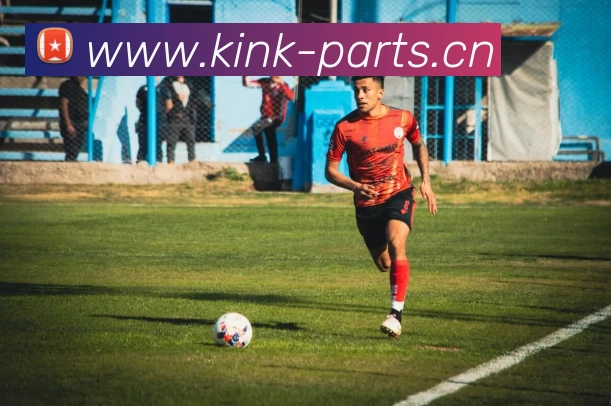 开云(中国)Kaiyun·官方网站 - 登录入口平台生态图